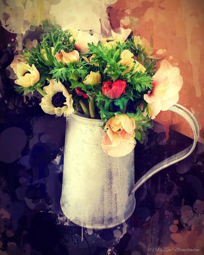 Anemones in Jug by AlyZen Moonshadow